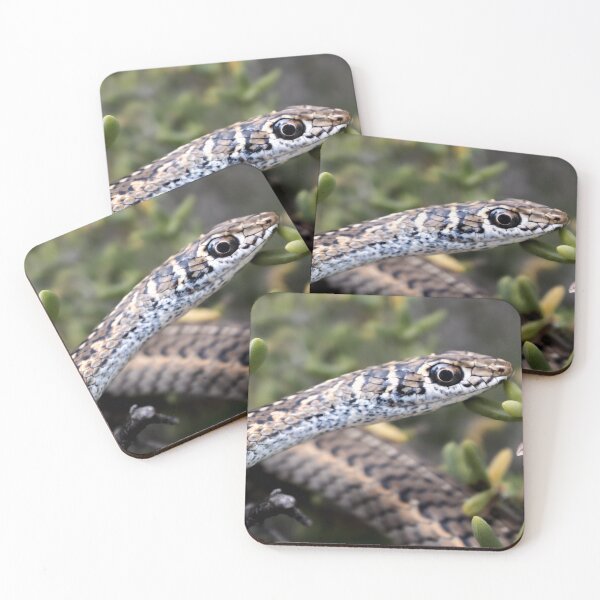Item preview, Cape Sand Snake (Psammophis leightoni) designed and sold by Pixel Press Prints.