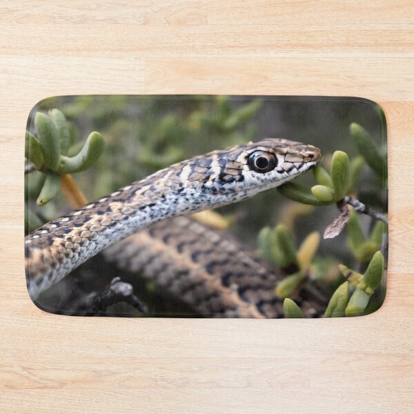 Item preview, Cape Sand Snake (Psammophis leightoni) designed and sold by Pixel Press Prints.