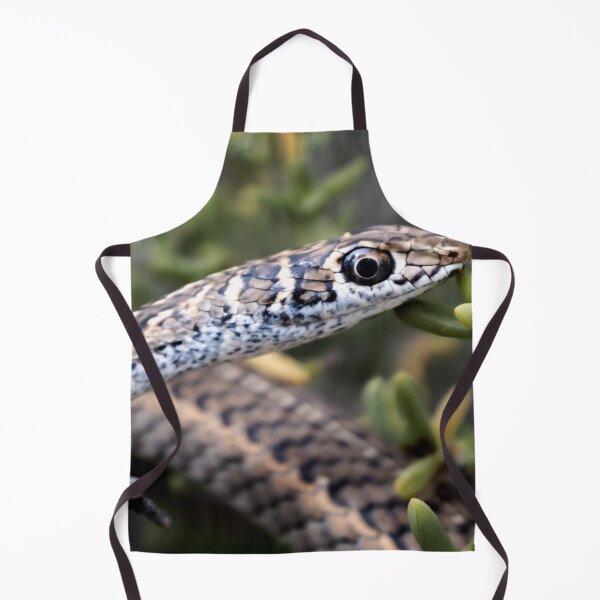 Item preview, Cape Sand Snake (Psammophis leightoni) designed and sold by Pixel Press Prints.