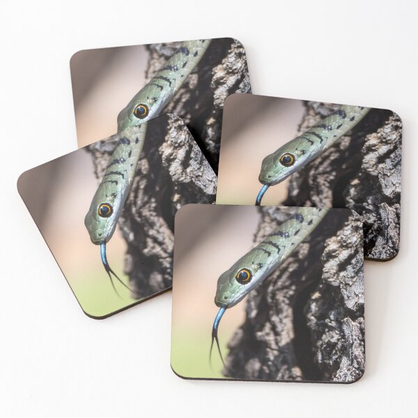 Item preview, Spotted Bush Snake (Philothamnus semivariegatus) designed and sold by Pixel Press Prints.