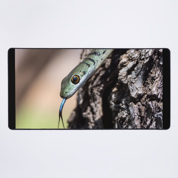 Item preview, Spotted Bush Snake (Philothamnus semivariegatus) designed and sold by Pixel Press Prints.