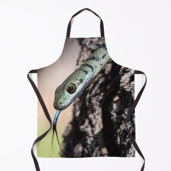 Item preview, Spotted Bush Snake (Philothamnus semivariegatus) designed and sold by Pixel Press Prints.