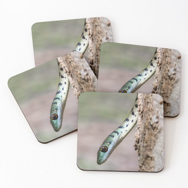 Item preview, Spotted Bush Snake (Philothamnus semivariegatus) designed and sold by Pixel Press Prints.