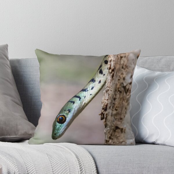 Item preview, Spotted Bush Snake (Philothamnus semivariegatus) designed and sold by Pixel Press Prints.