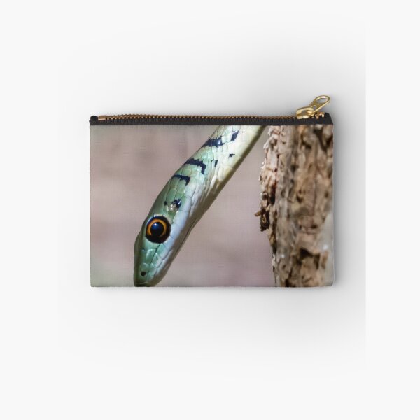 Item preview, Spotted Bush Snake (Philothamnus semivariegatus) designed and sold by Pixel Press Prints.