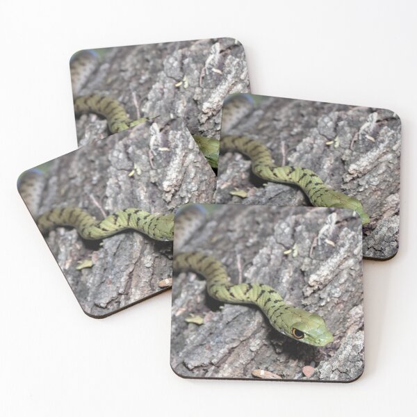 Item preview, Spotted Bush Snake (Philothamnus semivariegatus) designed and sold by Pixel Press Prints.