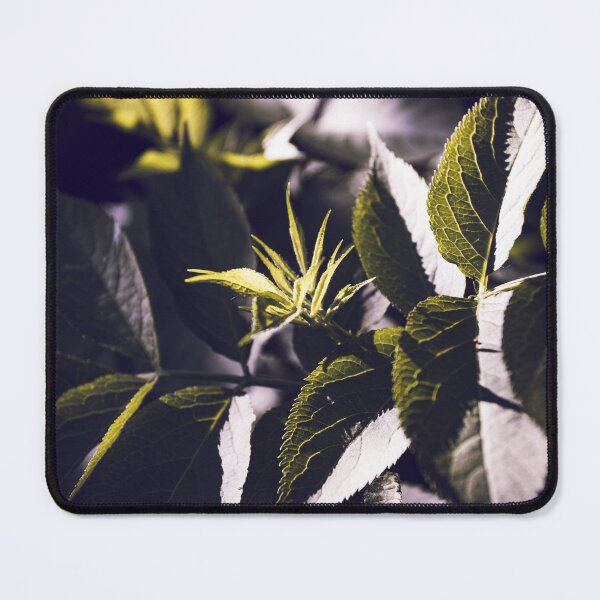 Item preview, Dark Green Elderberry Foliage Abstract designed and sold by Imladris01.