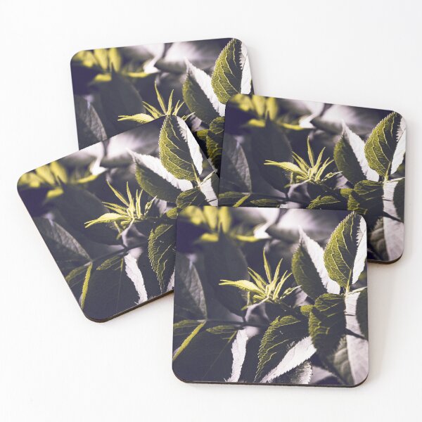 Item preview, Dark Green Elderberry Foliage Abstract designed and sold by Imladris01.