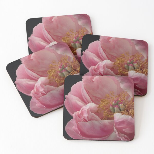 Item preview, Coral Peony Flower Closeup designed and sold by AlysonFennell.