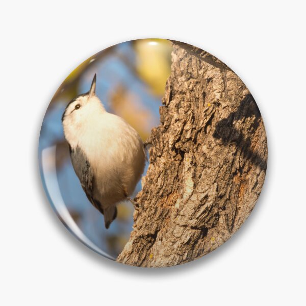 Item preview, Nuthatch Moving Up The Tree Trunk designed and sold by Debra Martz.