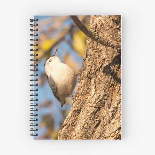Item preview, Nuthatch Moving Up The Tree Trunk designed and sold by Debra Martz.