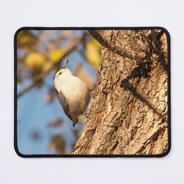 Item preview, Nuthatch Moving Up The Tree Trunk designed and sold by Debra Martz.
