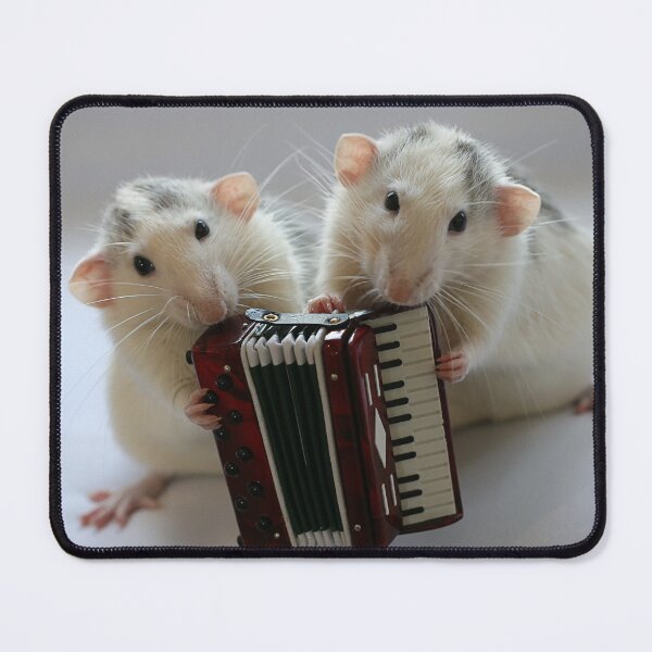 Item preview, The accordeon. designed and sold by Ellen van Deelen.