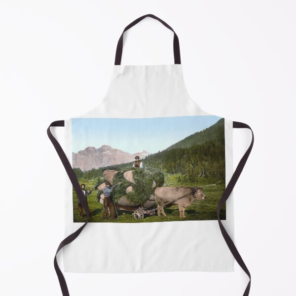 Item preview, Swiss peasants in the Grisons designed and sold by 19th Century in Color.