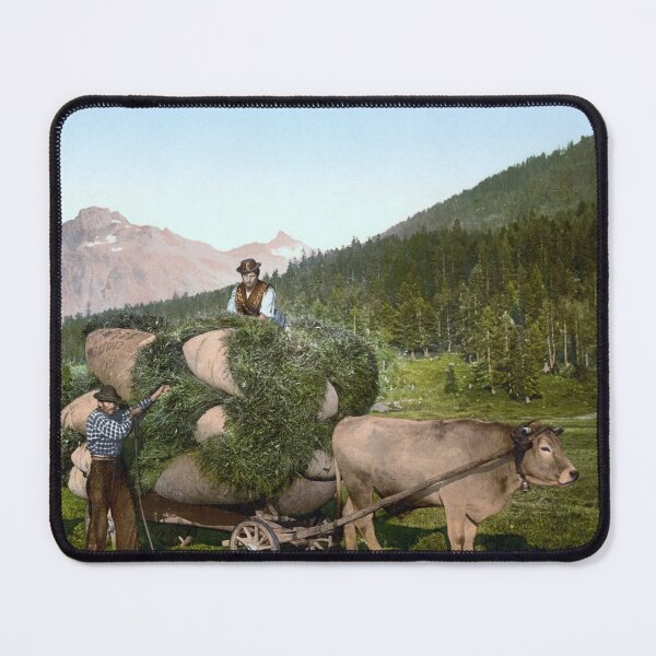 Item preview, Swiss peasants in the Grisons designed and sold by 19th Century in Color.