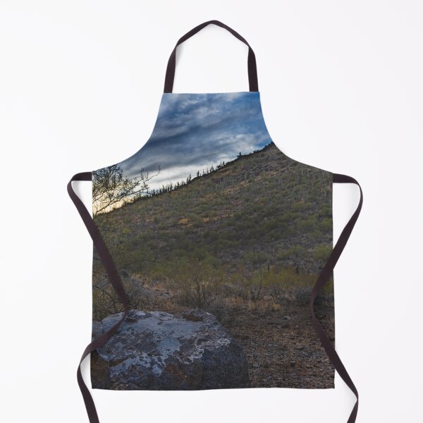 Item preview, A mountain Tucson AZ rocky foreground leads to a hillside covered in sparse vegetation and cacti under a dramatic sky designed and sold by EyezWatchin.