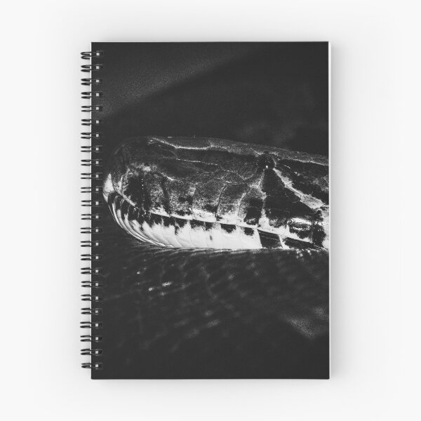 Item preview, Portrait of a Snake Coiled Up designed and sold by Charles Oliver Creations.