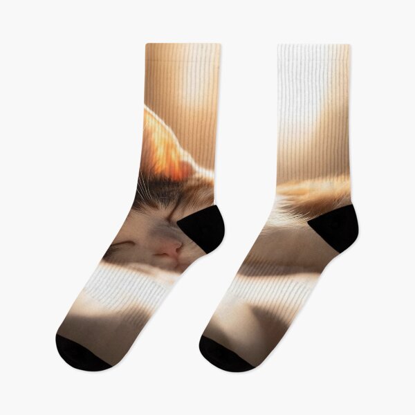 Item preview, Cat napping in warm sun designed and sold by anytka.