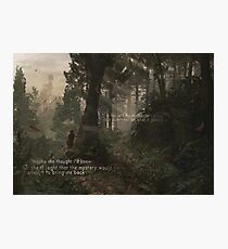 Family House (35 Prints!) Photographic Print