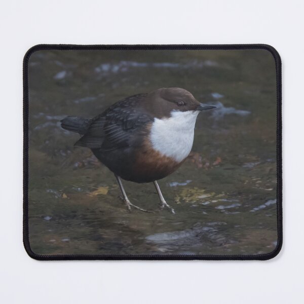 Item preview, Dipper designed and sold by LaurenTucker.