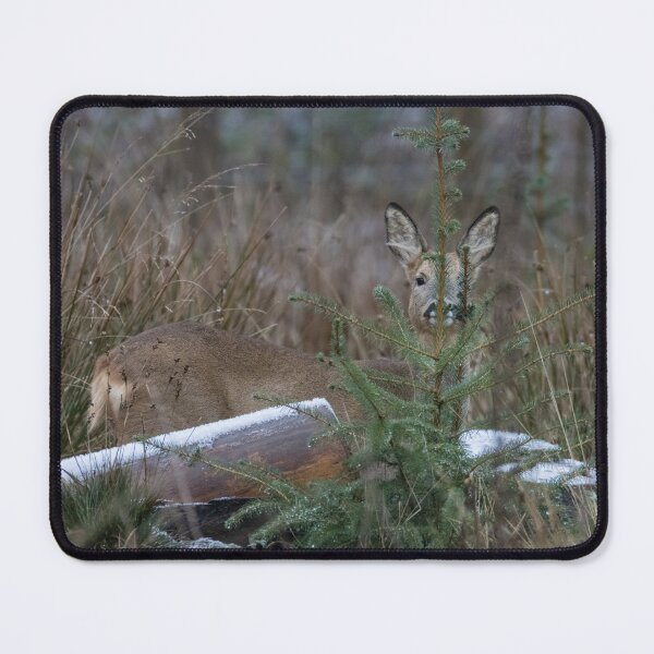 Item preview, Roe Deer designed and sold by LaurenTucker.
