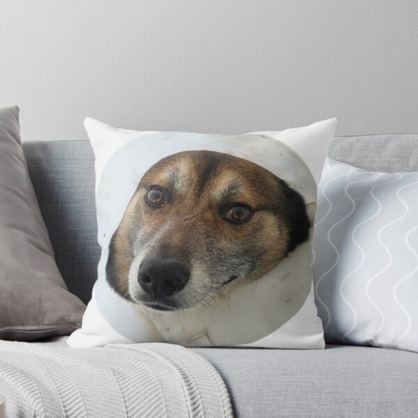 Item preview, Doc has a collar designed and sold by Keftcha.