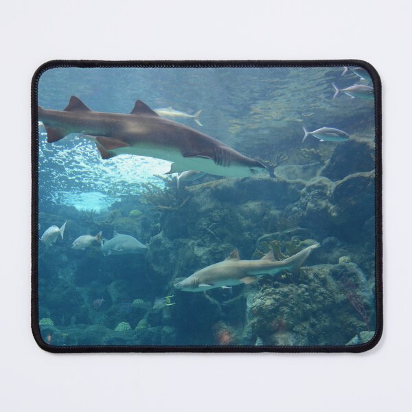 Item preview, Sharks in the Deep designed and sold by TimelapTravel.