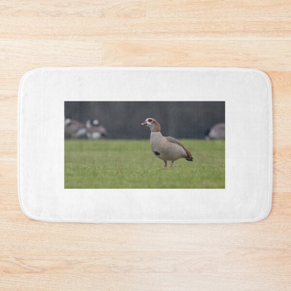Item preview, Egyptian Goose designed and sold by LaurenTucker.