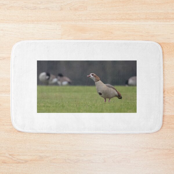 Item preview, Egyptian Goose designed and sold by LaurenTucker.