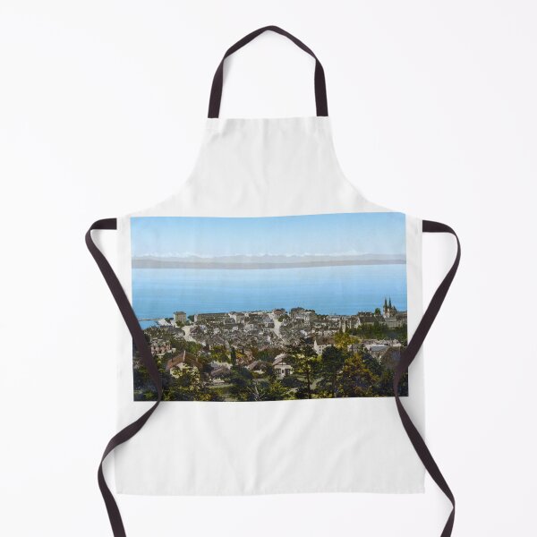 Item preview, Neuchâtel panorama designed and sold by 19th Century in Color.