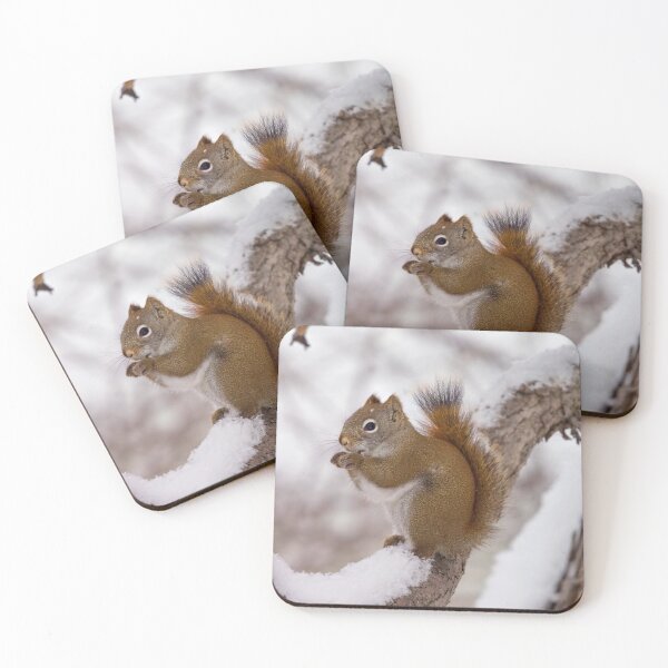 Item preview, SNOW SQUIRREL designed and sold by adumont1.