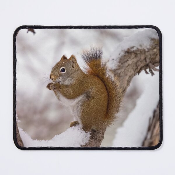 Item preview, SNOW SQUIRREL designed and sold by adumont1.