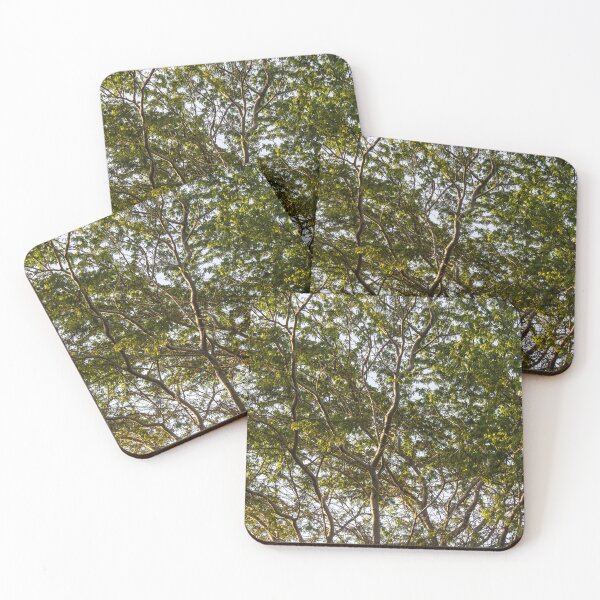 Item preview, pure tree designed and sold by felipequeiroz.