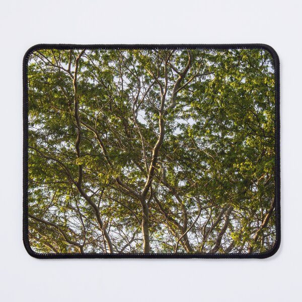 Item preview, pure tree designed and sold by felipequeiroz.