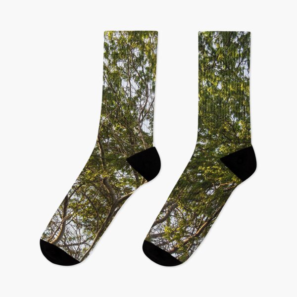 Item preview, pure tree designed and sold by felipequeiroz.