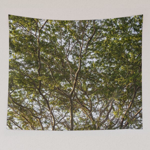 Item preview, pure tree designed and sold by felipequeiroz.