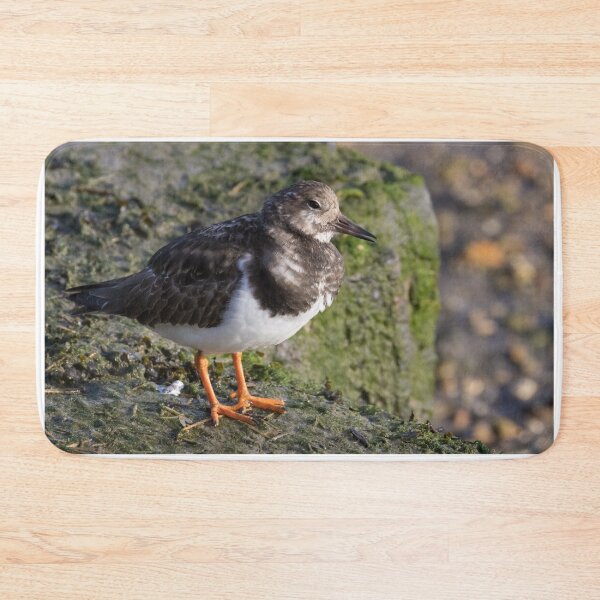 Item preview, Turnstone designed and sold by LaurenTucker.