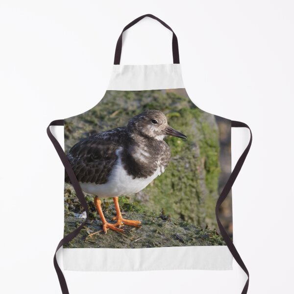 Item preview, Turnstone designed and sold by LaurenTucker.