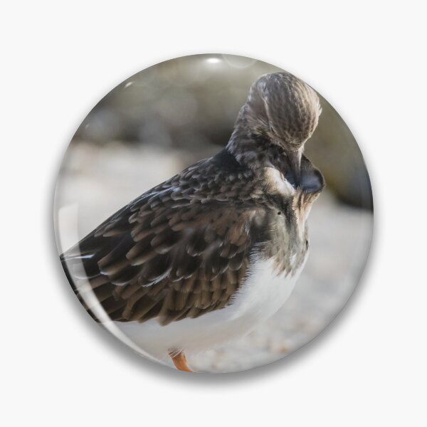 Item preview, Turnstone designed and sold by LaurenTucker.