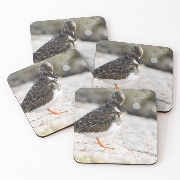 Item preview, Turnstone designed and sold by LaurenTucker.