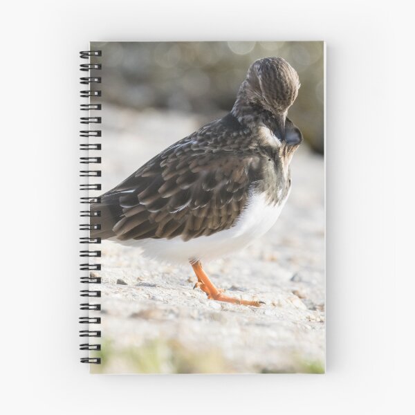 Item preview, Turnstone designed and sold by LaurenTucker.