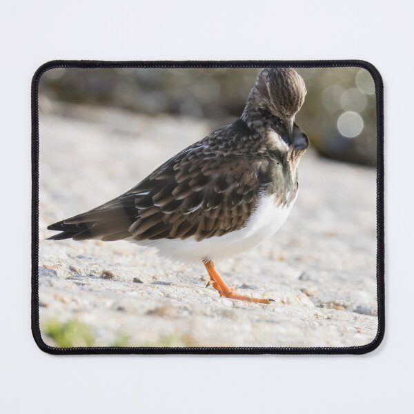Item preview, Turnstone designed and sold by LaurenTucker.