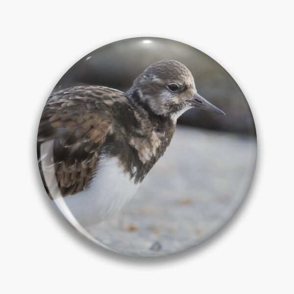 Item preview, Turnstone designed and sold by LaurenTucker.