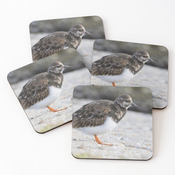 Item preview, Turnstone designed and sold by LaurenTucker.