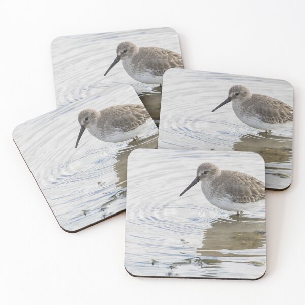 Item preview, Dunlin designed and sold by LaurenTucker.