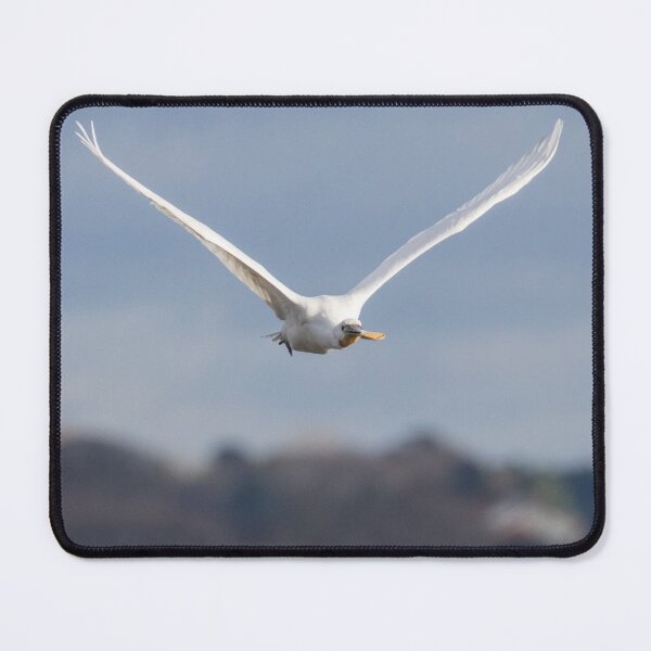 Item preview, Spoonbill designed and sold by LaurenTucker.