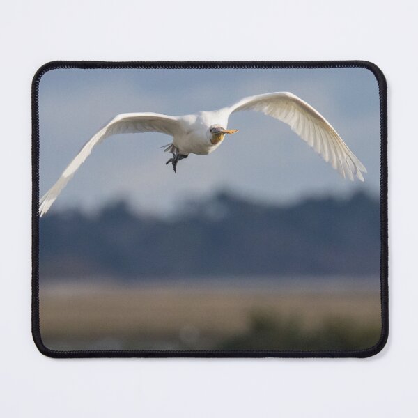 Item preview, Spoonbill designed and sold by LaurenTucker.