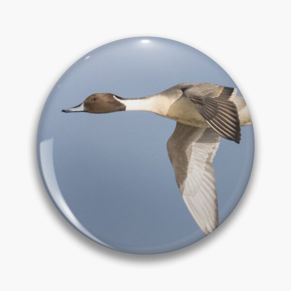 Item preview, Pintail designed and sold by LaurenTucker.