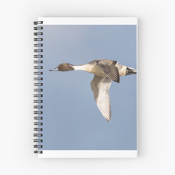 Item preview, Pintail designed and sold by LaurenTucker.