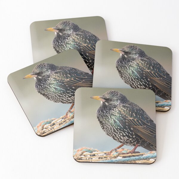 Item preview, Starling designed and sold by LaurenTucker.